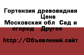 Гортензия древовидная `White Ball` › Цена ­ 700 - Московская обл. Сад и огород » Другое   